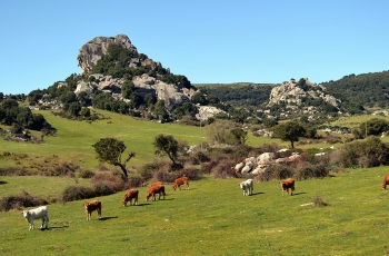 Fooding and wining in Gallura